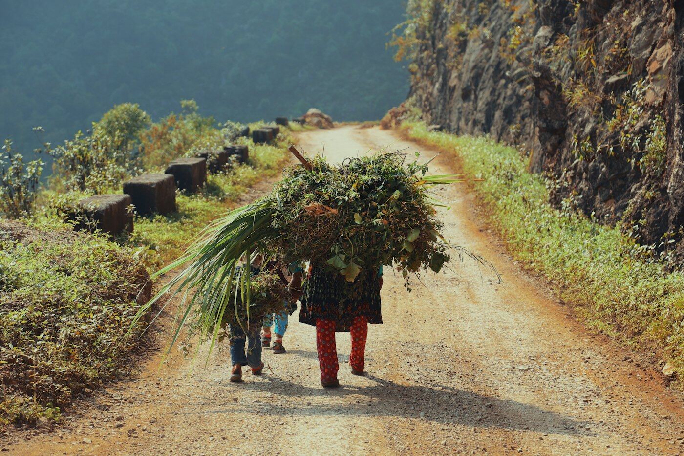 Núi rừng vùng cao